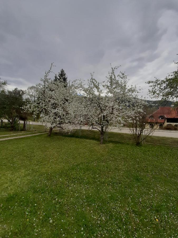Apartman Djokovic โมกราโกรา ภายนอก รูปภาพ